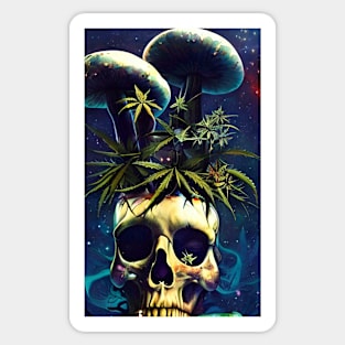 HEAD POT psychedelic skull Sticker